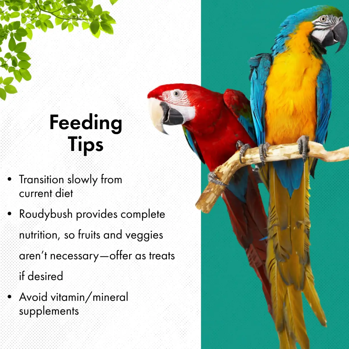 RoudyBush Daily Maintenance Bird Food Small Pellets 12.11 kg (25 lb) | Scientifically Formulated for Birds - view 6