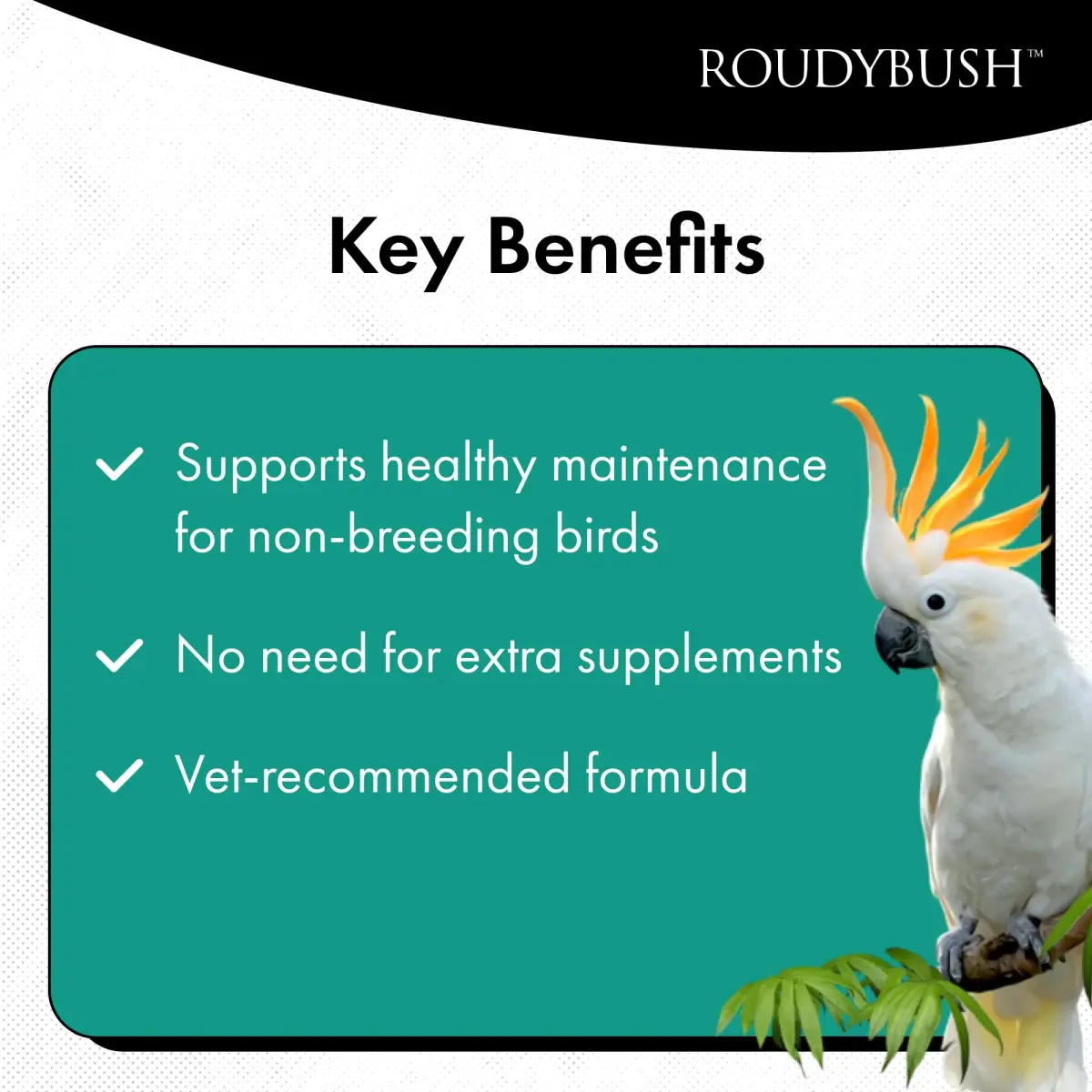 RoudyBush Daily Maintenance Bird Food Small Pellets 12.11 kg (25 lb) | Scientifically Formulated for Birds - view 3