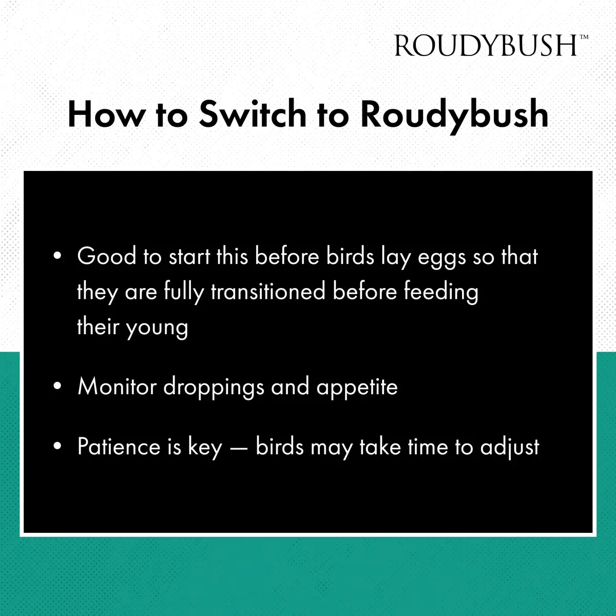 RoudyBush Daily Maintenance Bird Food Medium Pellets 1.27 kg (2.8 lb) | Scientifically Formulated for All Life Stages - view 7