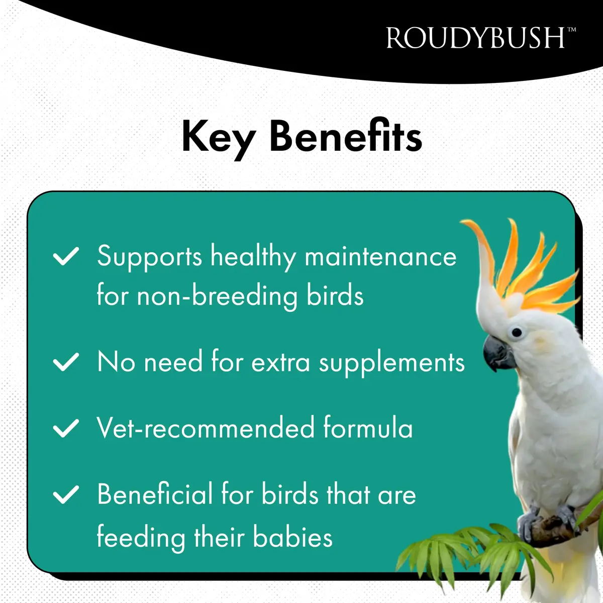 RoudyBush Daily Maintenance Bird Food Medium Pellets 1.27 kg (2.8 lb) | Scientifically Formulated for All Life Stages - view 3