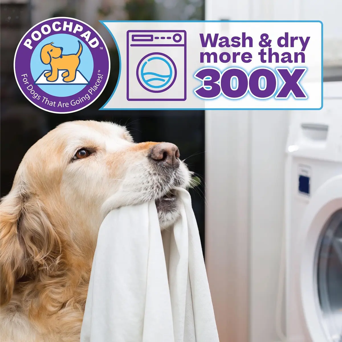 PoochPad Original Washable Dog Potty Pad 17x23 inches | Leakproof & Odor Control (70-120 chars) - view 6