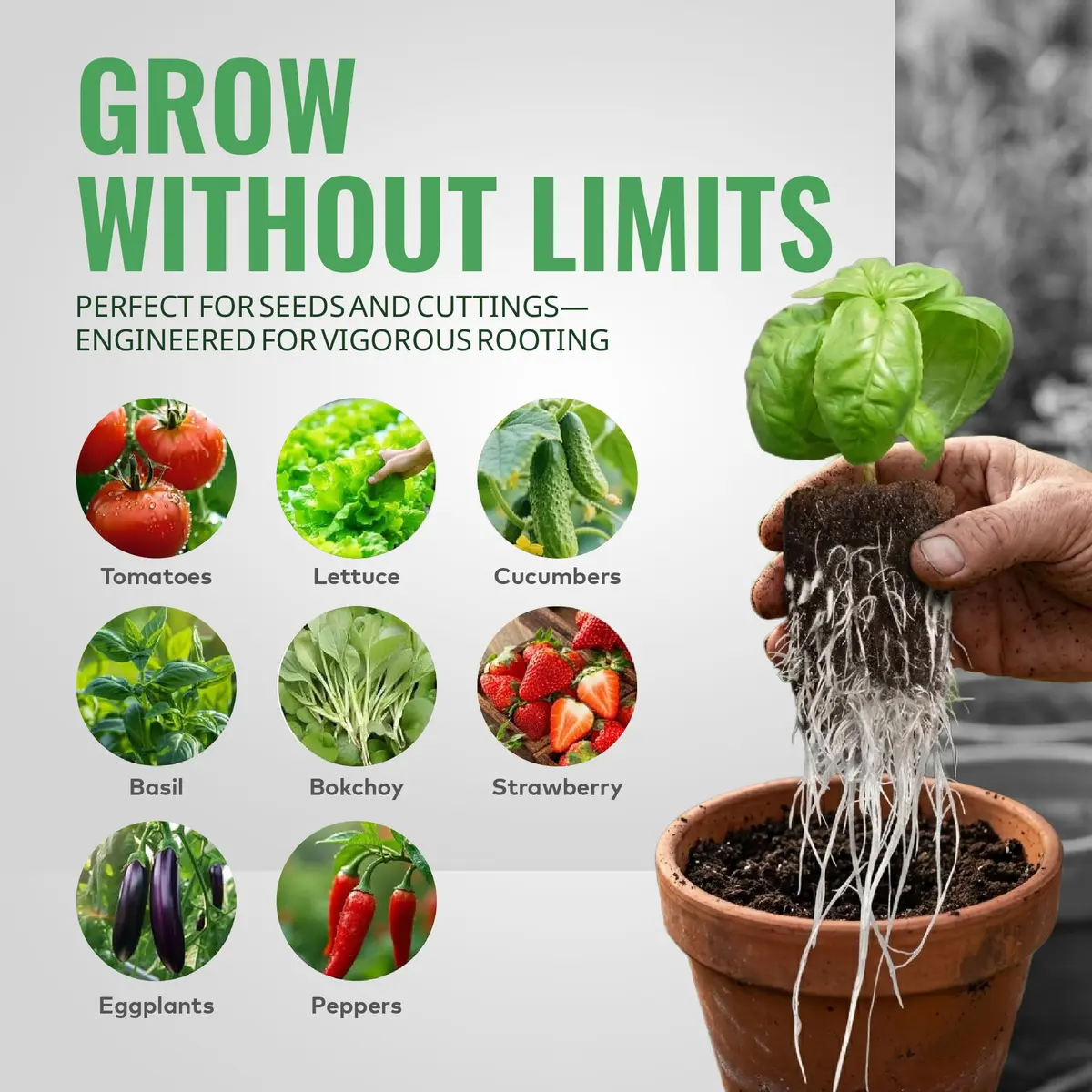 General Hydroponics GH3253 Rapid Rooter Replacement Plugs 50 Count | Organic Soilless Grow Plugs for Seedlings & Cuttings - view 5