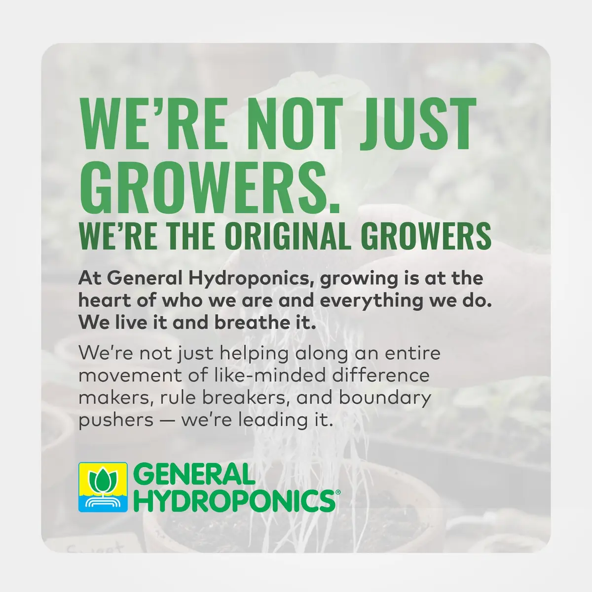General Hydroponics GH3253 Rapid Rooter Replacement Plugs 50 Count | Organic Soilless Grow Plugs for Seedlings & Cuttings - view 6