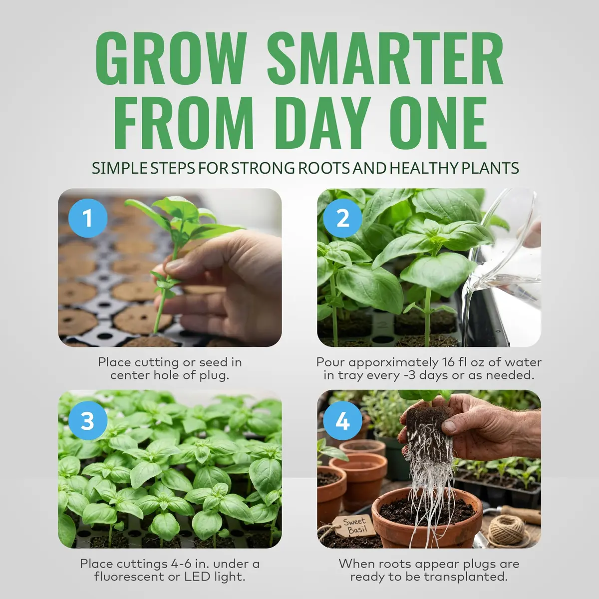 General Hydroponics GH3253 Rapid Rooter Replacement Plugs 50 Count | Organic Soilless Grow Plugs for Seedlings & Cuttings - view 4