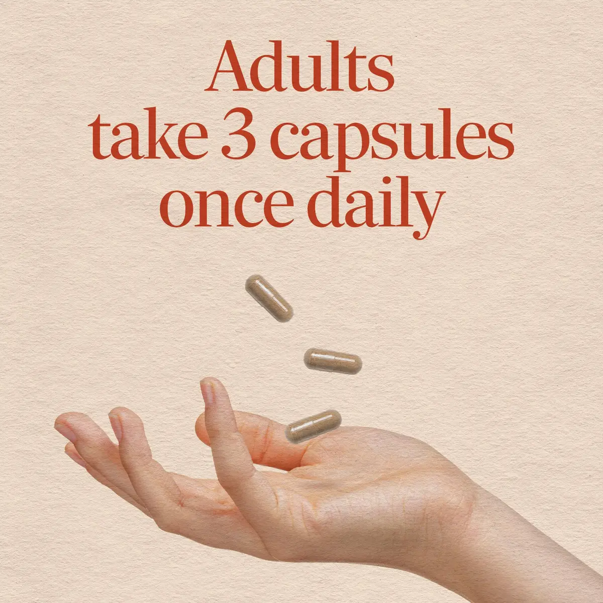 Nature's Way Dandelion Root Capsules 180 Count | Traditional Diuretic Herb - view 5
