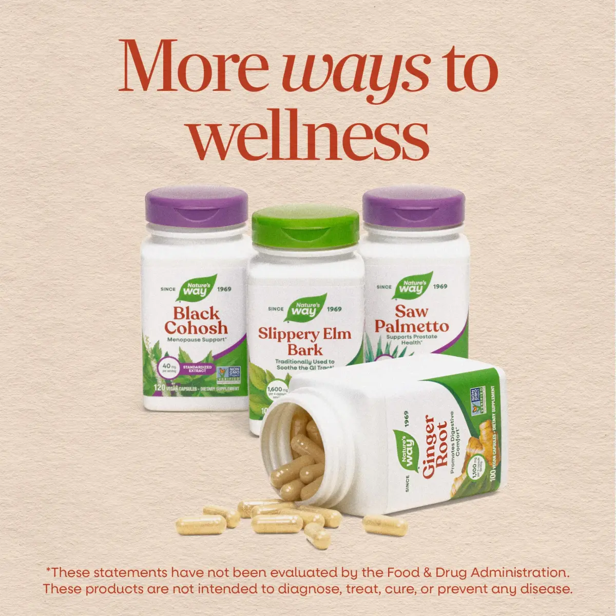 Nature's Way Horse Chestnut Extract 90 Capsules | Supports Healthy Leg Veins & Circulation - view 7