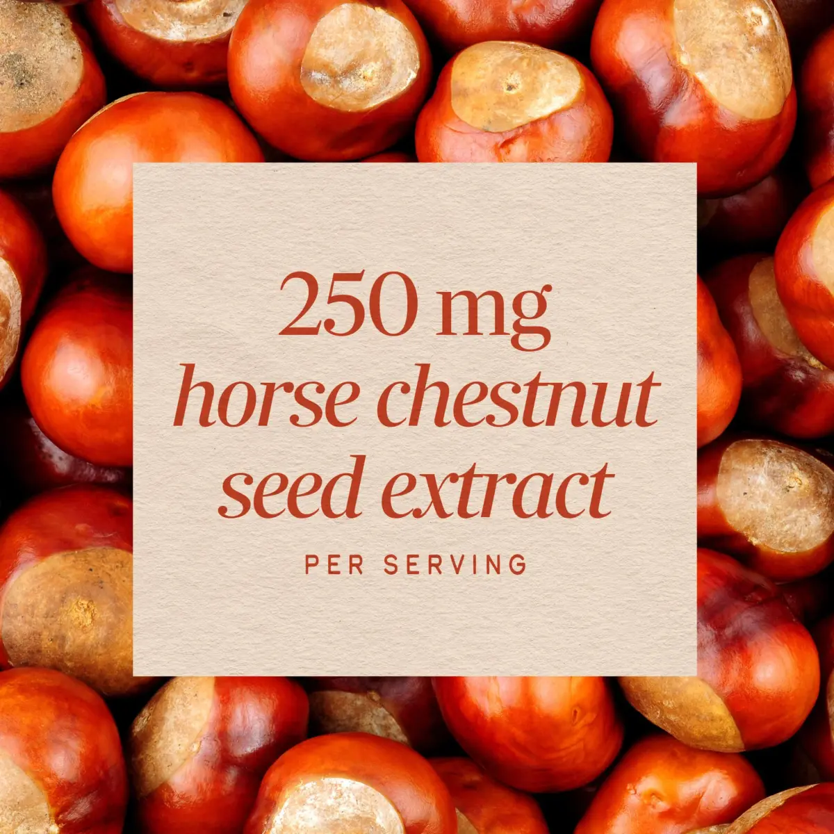 Nature's Way Horse Chestnut Extract 90 Capsules | Supports Healthy Leg Veins & Circulation - view 4