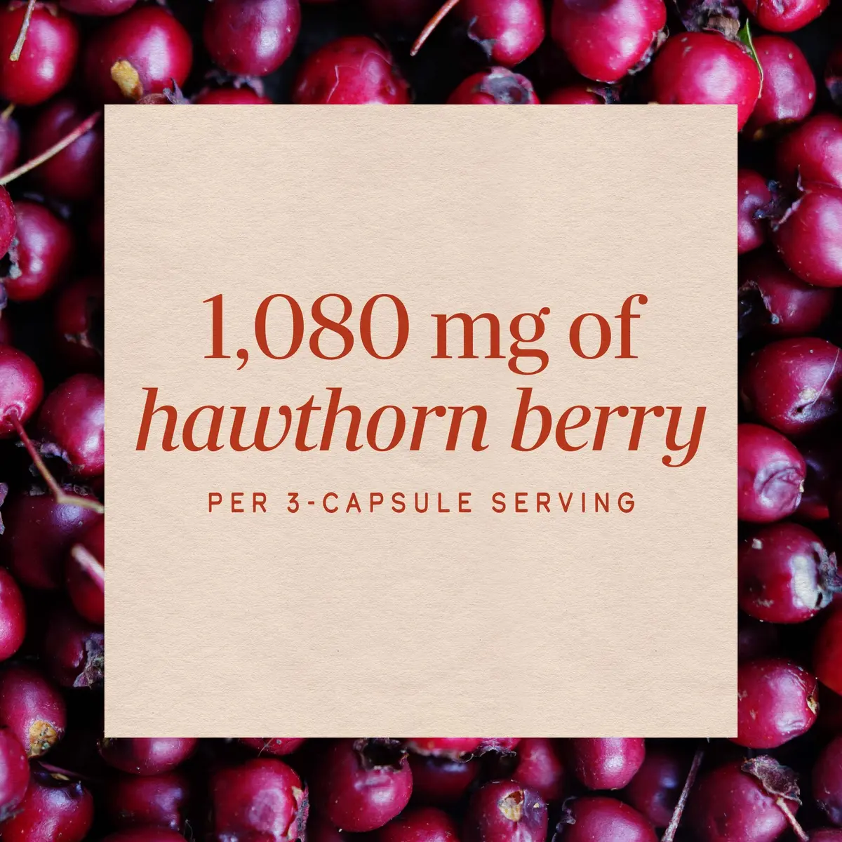 Nature's Way Hawthorn Berries 180 Count | Heart Support Capsules, Vegan & Gluten-Free - view 4