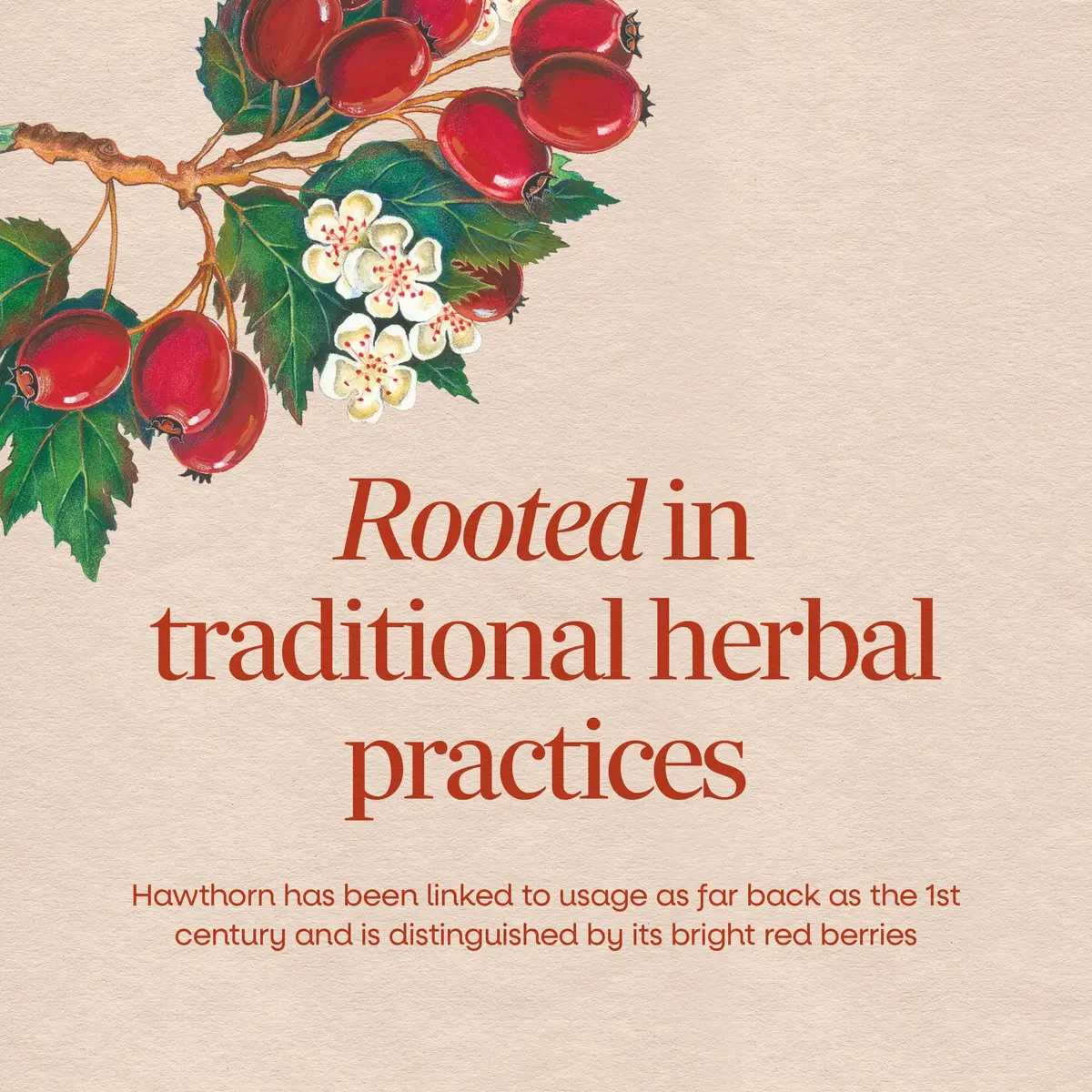 Nature's Way Hawthorn Berries 180 Count | Heart Support Capsules, Vegan & Gluten-Free - view 3
