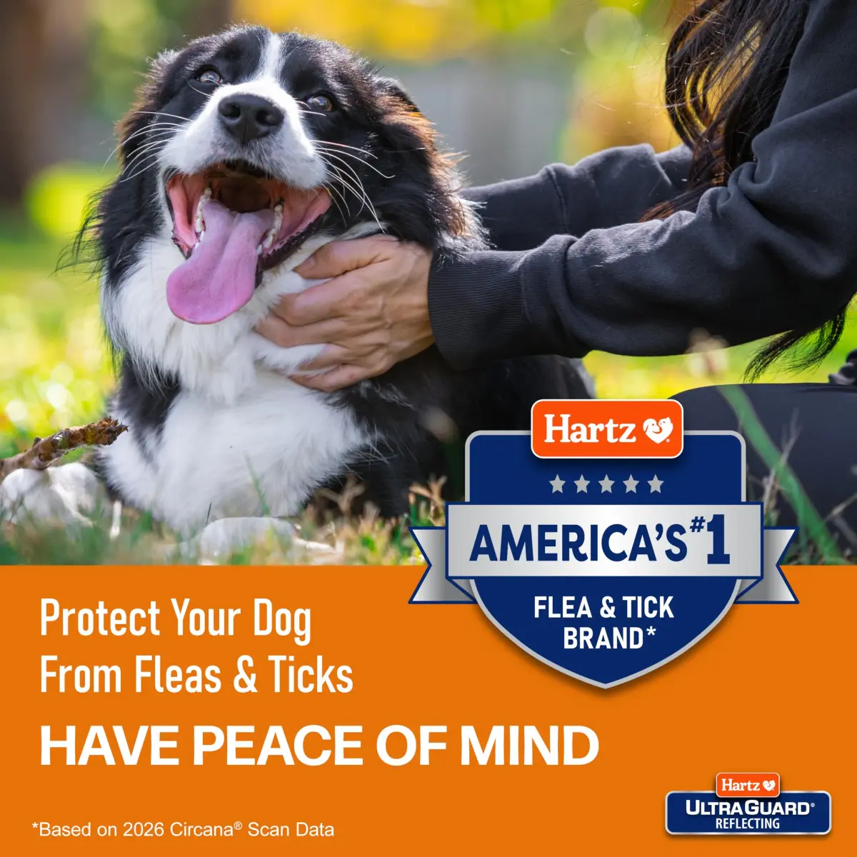 Hartz UltraGuard Plus Flea & Tick Home Spray 473ml (16 Fl Oz) | Kills Fleas, Ticks, Eggs & Larvae - view 4