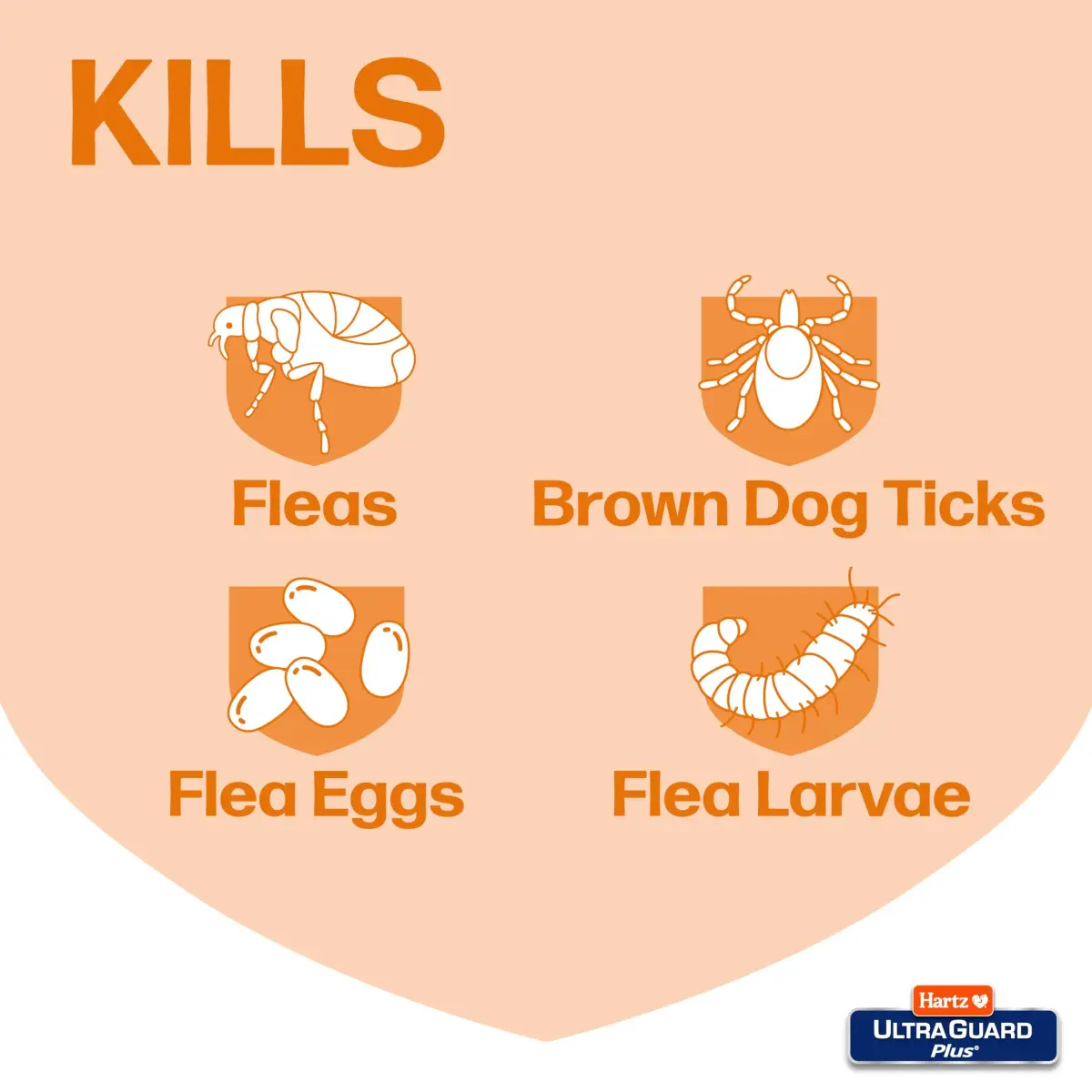 Hartz UltraGuard Plus Flea & Tick Home Spray 473ml (16 Fl Oz) | Kills Fleas, Ticks, Eggs & Larvae - view 3