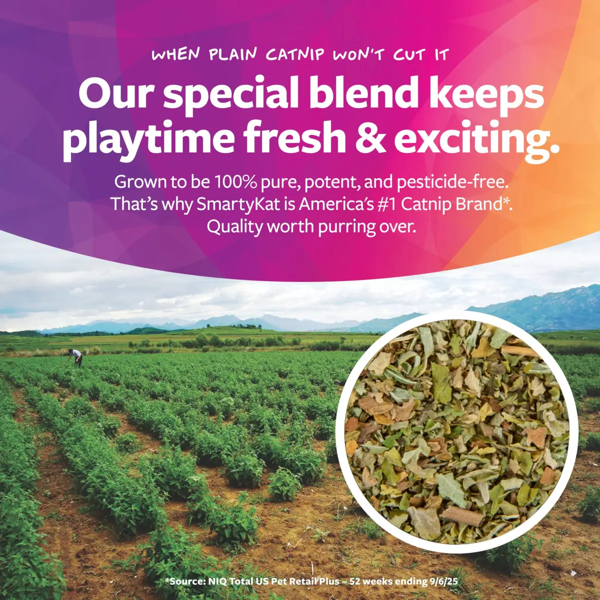 SmartyKat Organic Catnip & Silvervine Blend for Cats & Kittens, 1 oz (28.35 g) | Potent Natural Stimulant - view 4