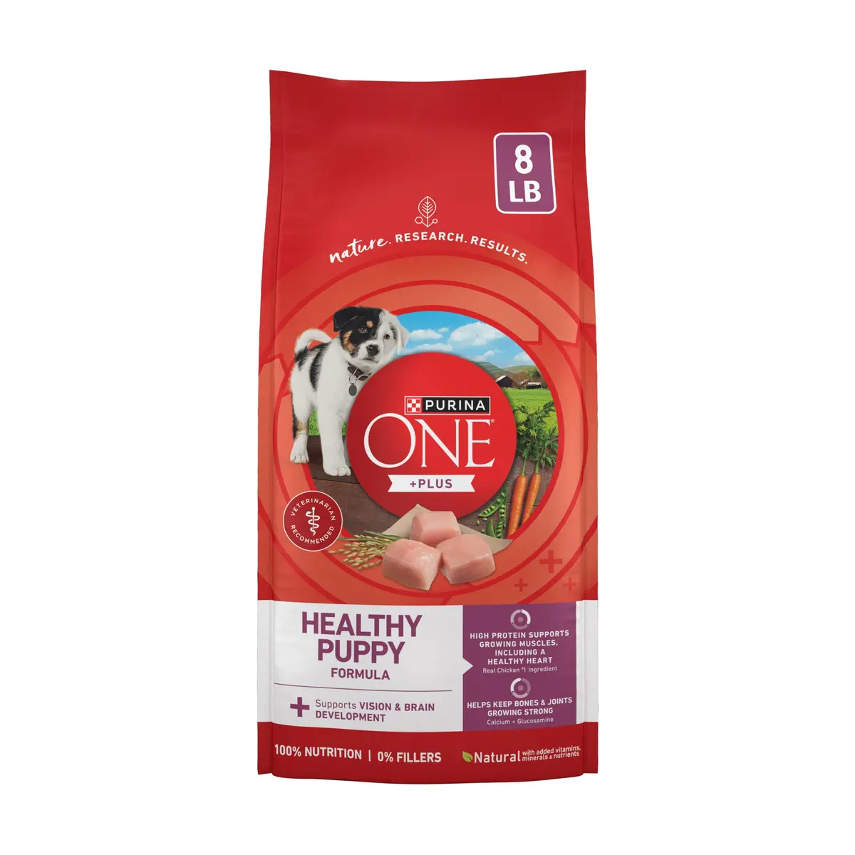 Purina ONE Plus Healthy Puppy Dry Food, Chicken, 8 lb Bag | High Protein with DHA for Growing Puppies - main product image