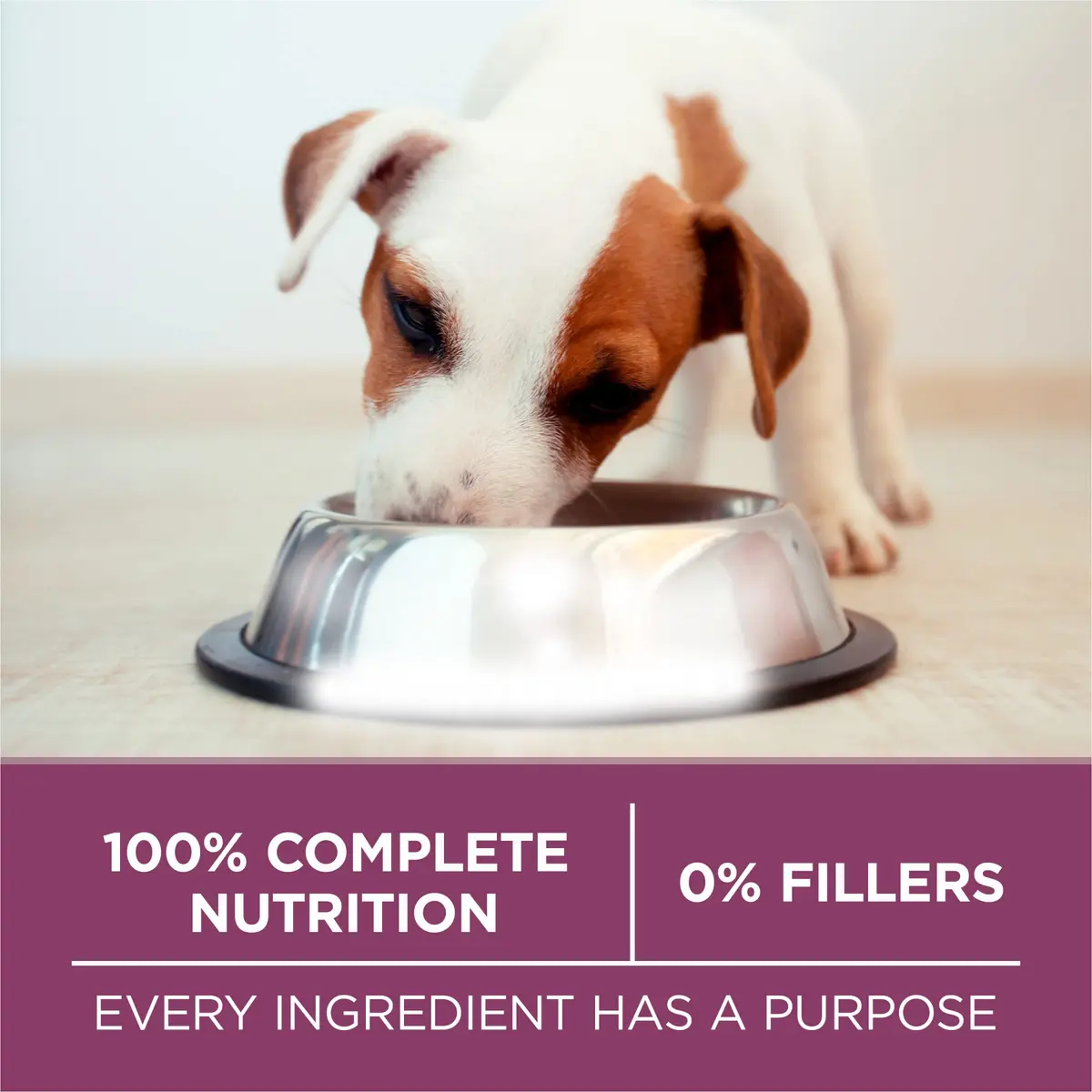 Purina ONE Plus Healthy Puppy Dry Food, Chicken, 8 lb Bag | High Protein with DHA for Growing Puppies - view 8