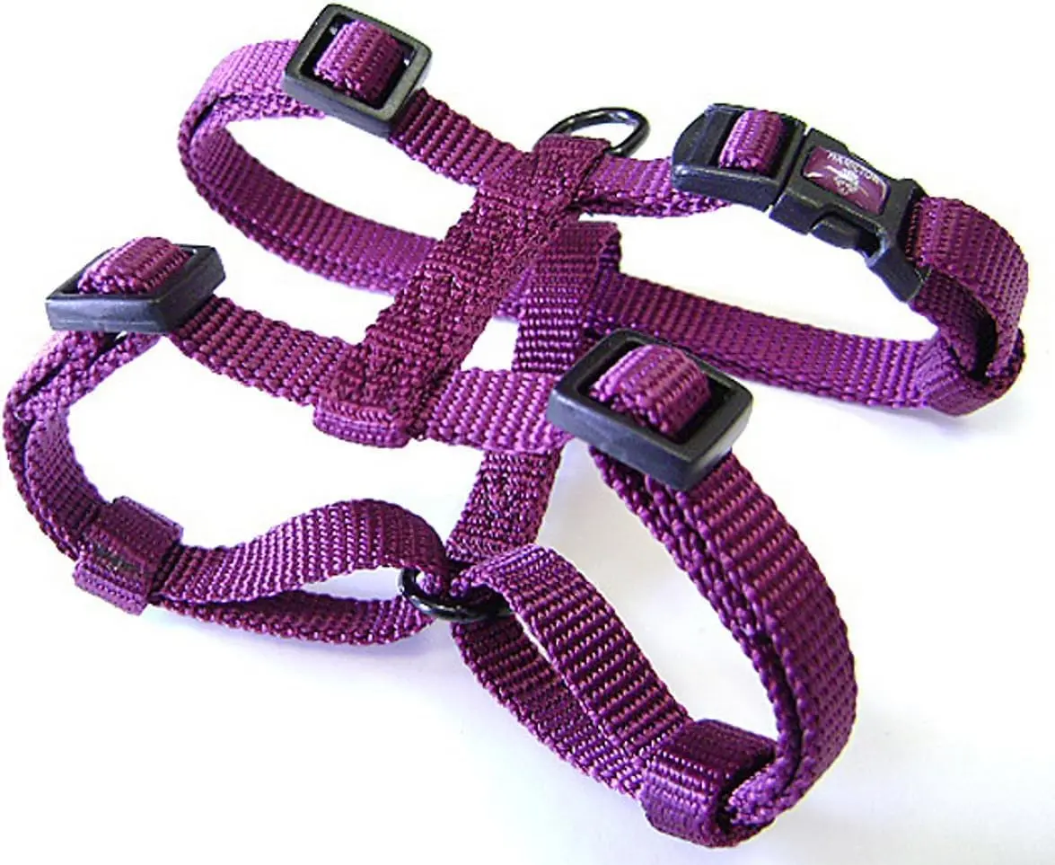Hamilton Adjustable Nylon Dog Harness, Small 5/8" x 12-20" | Durable, Adjustable Fit for Small & Medium Dogs - main product image