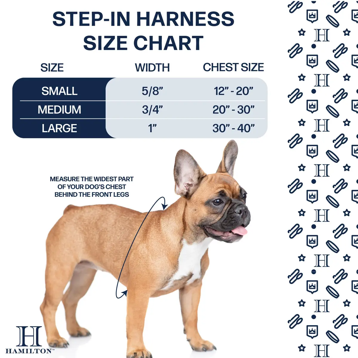 Hamilton Adjustable Nylon Dog Harness, Small 5/8" x 12-20" | Durable, Adjustable Fit for Small & Medium Dogs - view 4