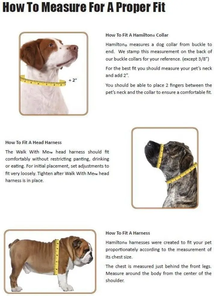 Hamilton Adjustable Nylon Dog Harness, Small 5/8" x 12-20" | Durable, Adjustable, Safe Fit - view 5