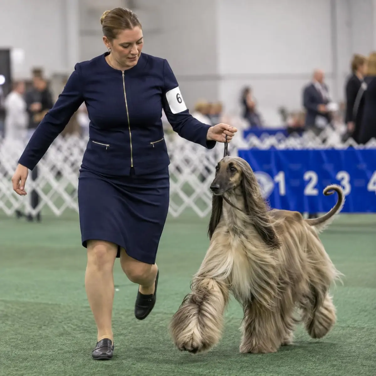 Resco Cordo-Hyde Dog Show Lead for Conformation, Wide (3/8") | Professional Show Ring Accessory - view 3