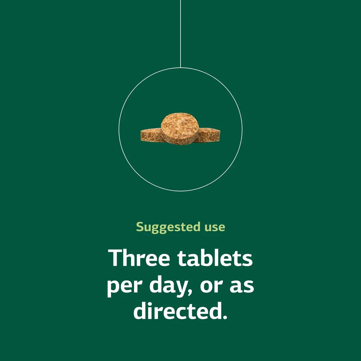 Standard Process Catalyn 360 Tablets | Whole Food Support for General Wellbeing - view 5
