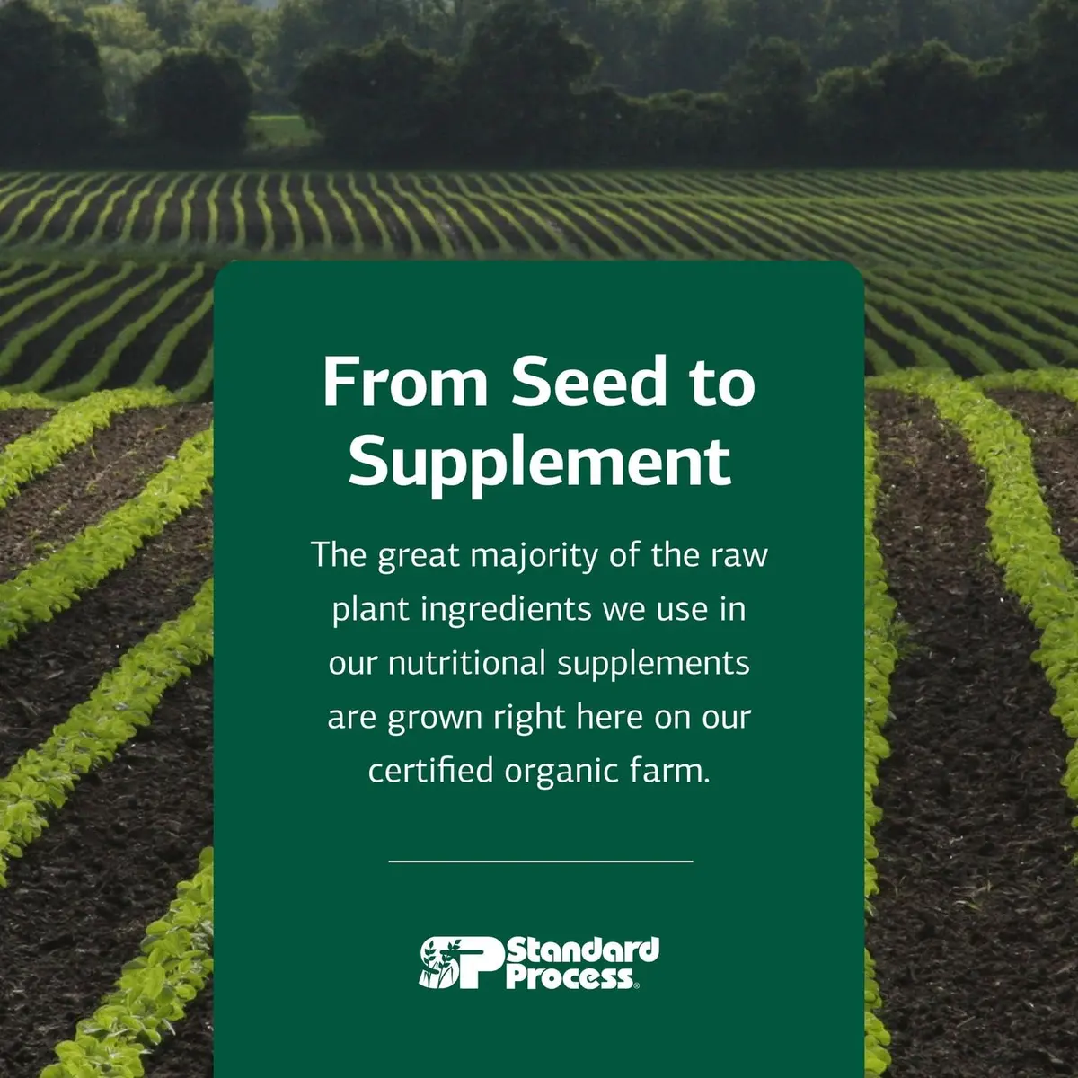 Standard Process Catalyn 360 Tablets | Whole Food Support for General Wellbeing - view 7