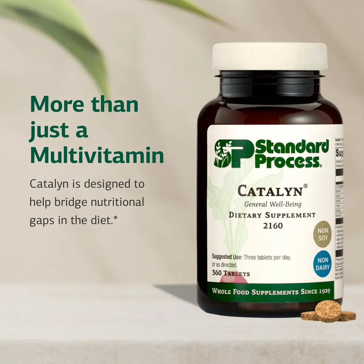 Standard Process Catalyn 360 Tablets | Whole Food Support for General Wellbeing - view 3