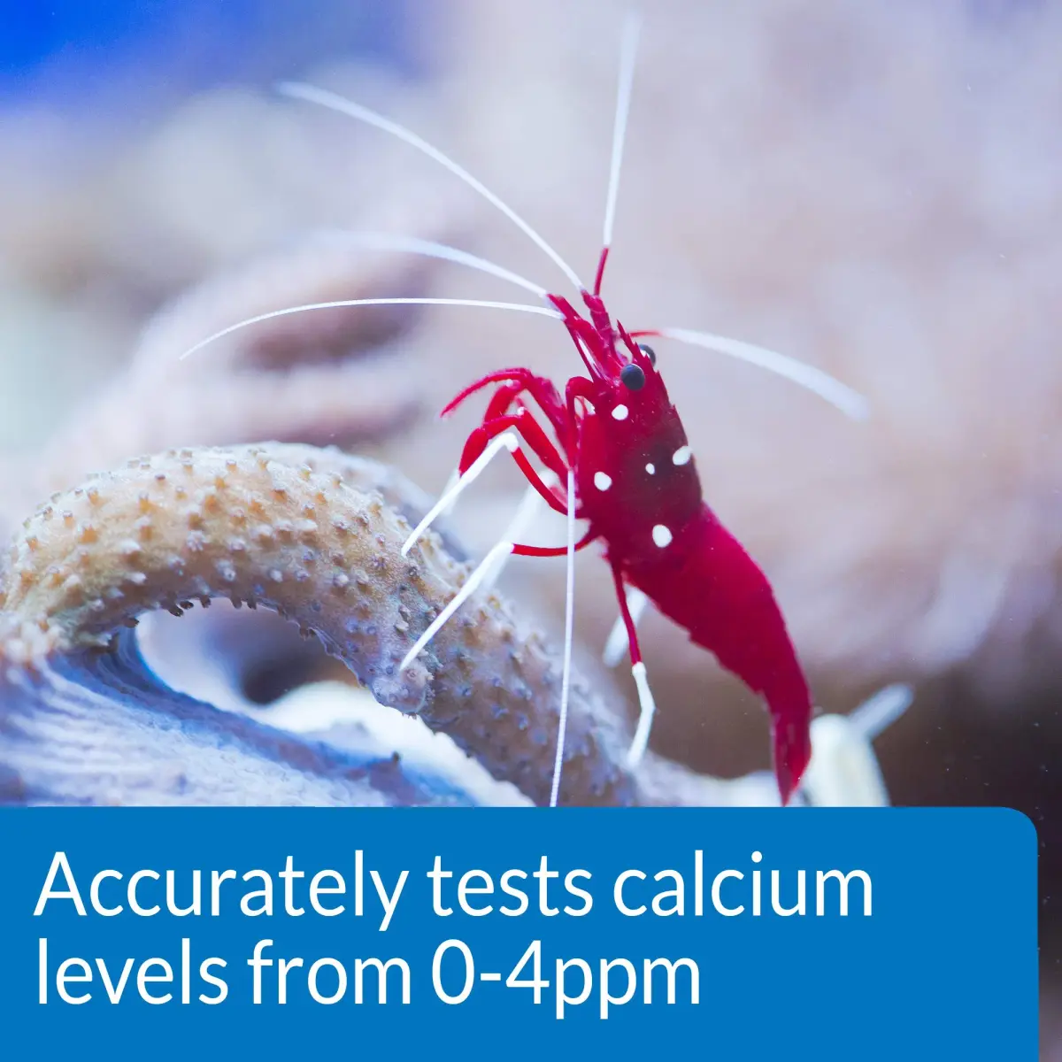 API Calcium Test Kit Saltwater Aquarium Water 1-Count Test Kit | Measures Calcium Levels as Low as 20mg/L - view 4