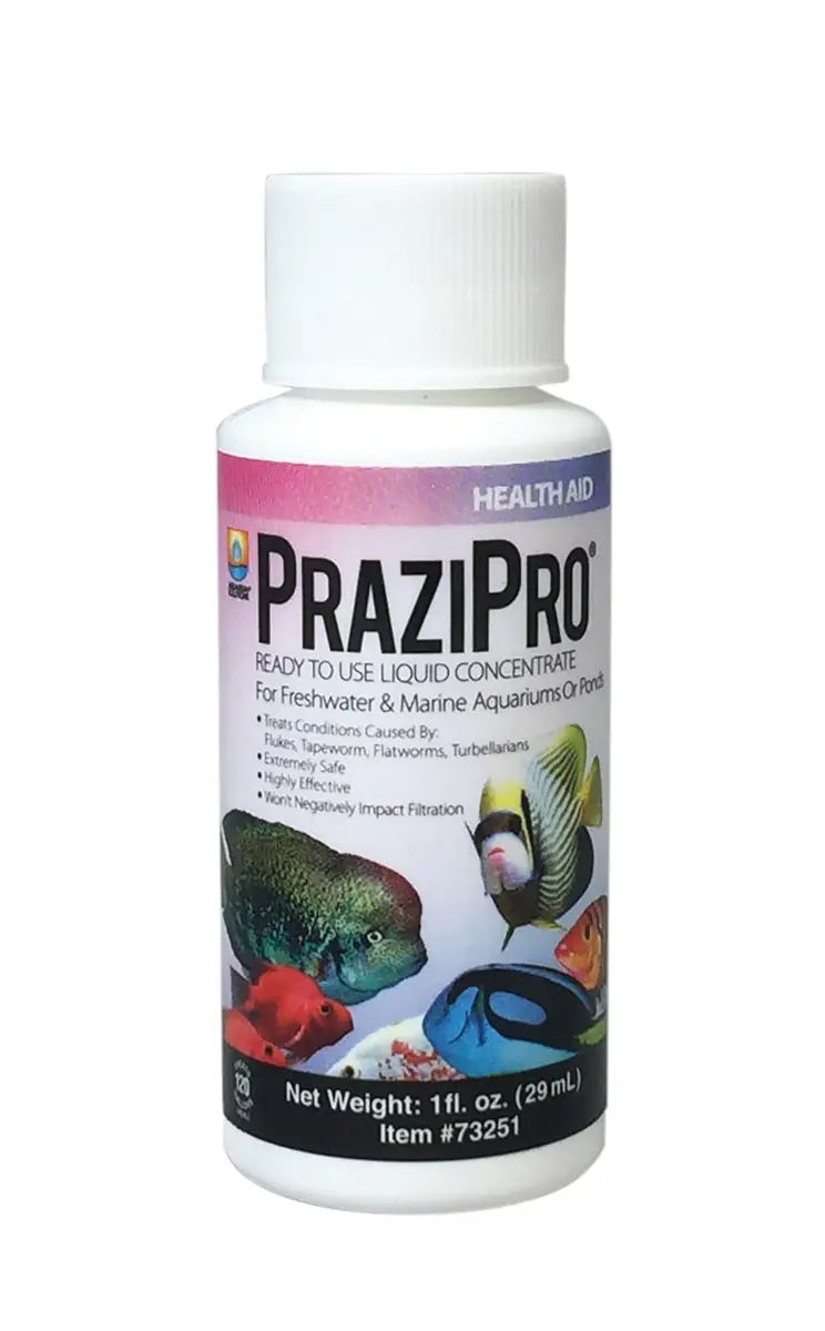 Aquarium Solutions PraziPro Parasite Treatment 29.57ml (1 fl oz) | Safe for Freshwater, Marine, and Ponds - main product image