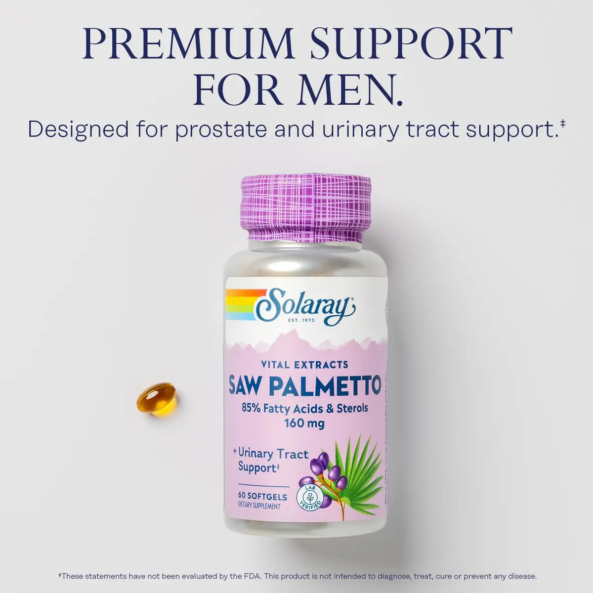 SOLARAY Saw Palmetto Extract 60 Softgels | Prostate & Urinary Support in India - view 3