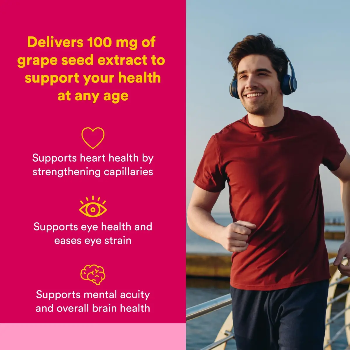 Natural Factors Grape Seed Extract 100 mg 90 Vegetarian Capsules | Antioxidant Support for Circulation & Eye Health - view 2