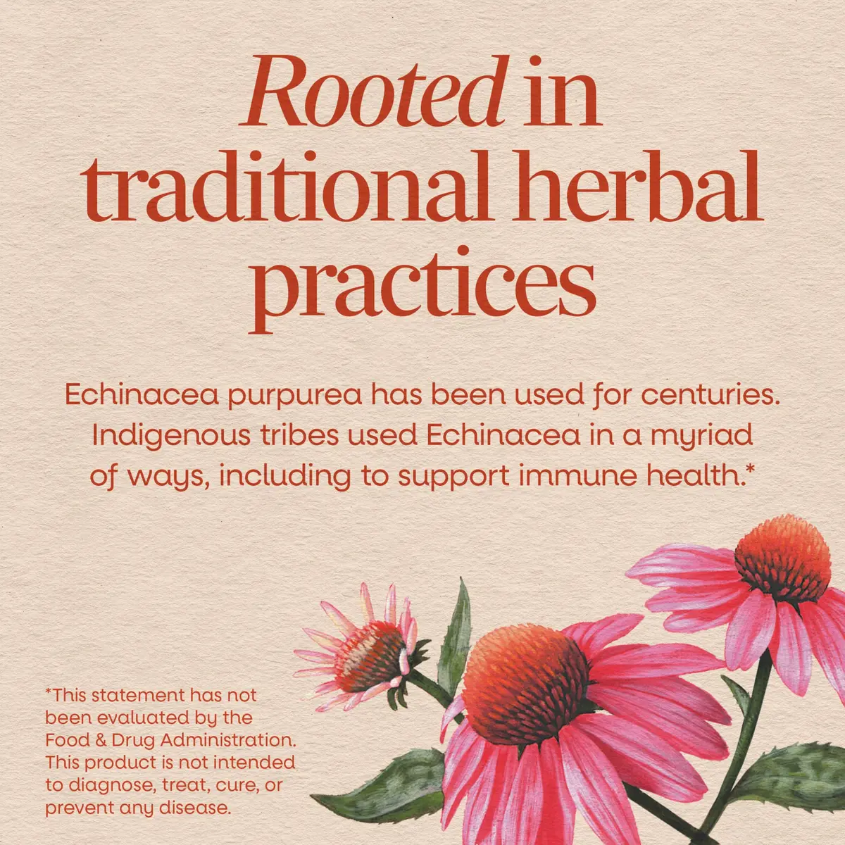 Nature's Way Echinacea Purpurea Herb Capsules 180ct | 1200 mg per Serving for Immune Support - view 3