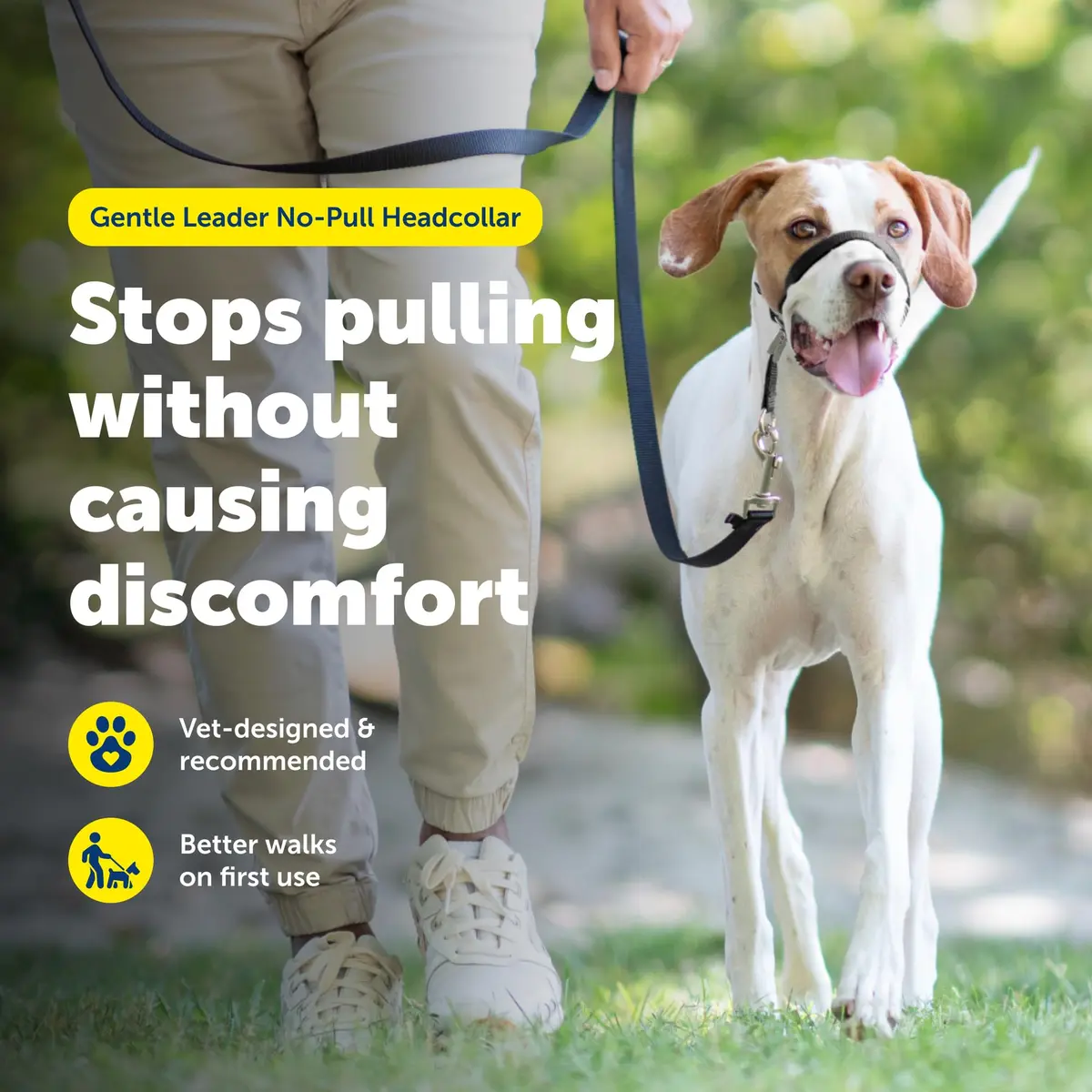 PetSafe Gentle Leader No Pull Dog Headcollar, Black, Medium | Veterinary-Designed Dog Training Aid - view 2
