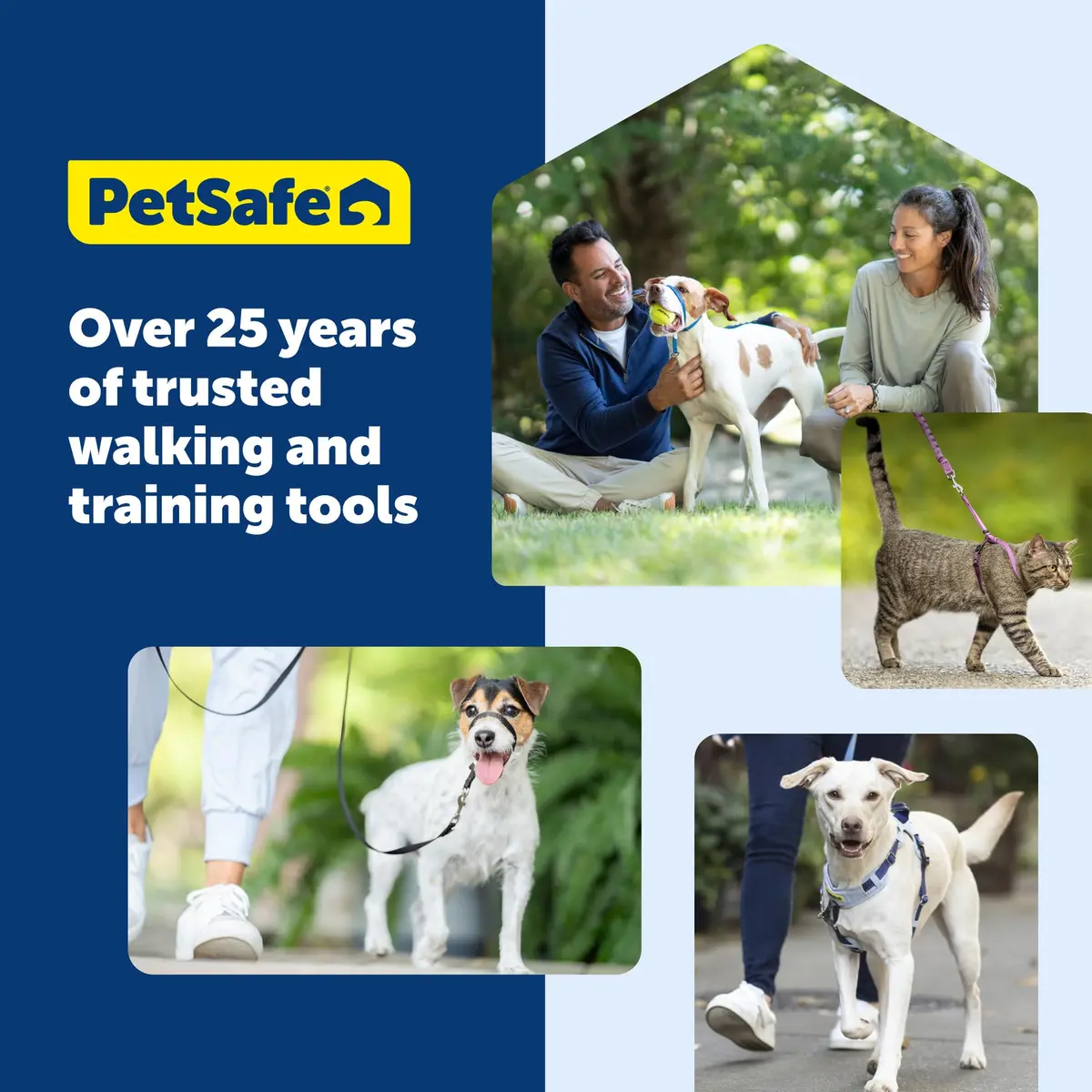 PetSafe Gentle Leader No Pull Dog Headcollar, Royal Blue, Large | Veterinary-Designed Dog Training Aid - view 8
