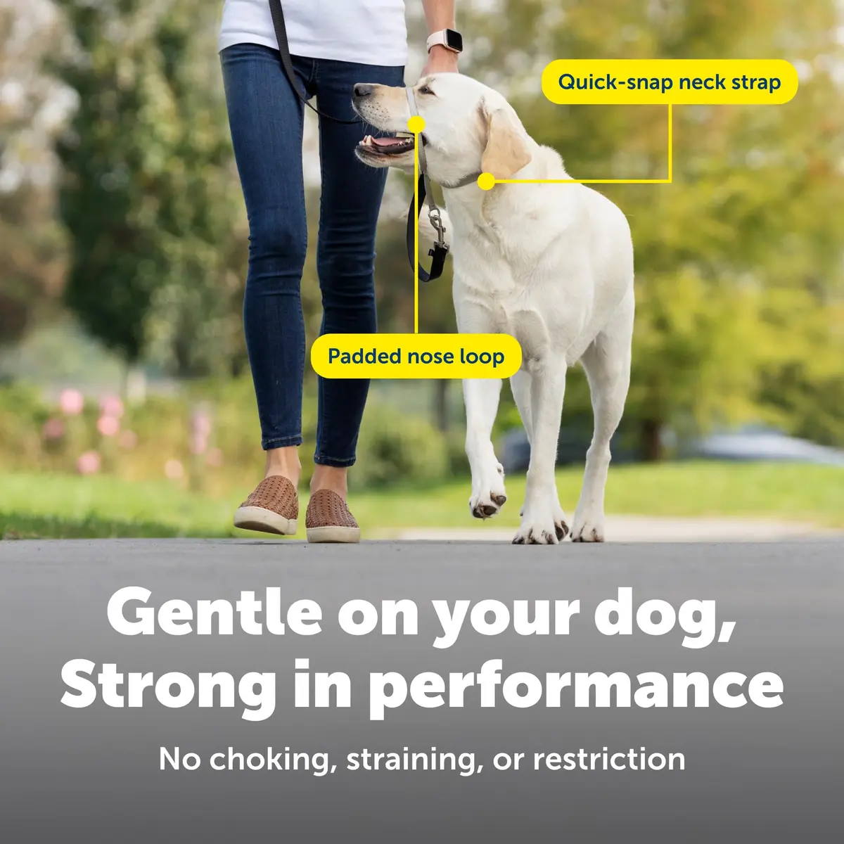 PetSafe Gentle Leader No Pull Dog Headcollar, Royal Blue, Large | Veterinary-Designed Dog Training Aid - view 4