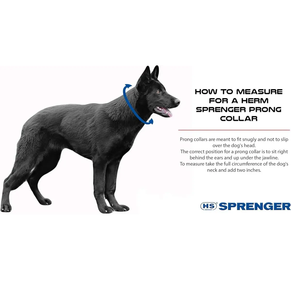 Herm Sprenger Chrome Plated Steel Training Prong Collar with Quick Release Snap for Dogs, 58cm (23in) x 3.2mm, Neck Size Up to 19 Inches - view 3