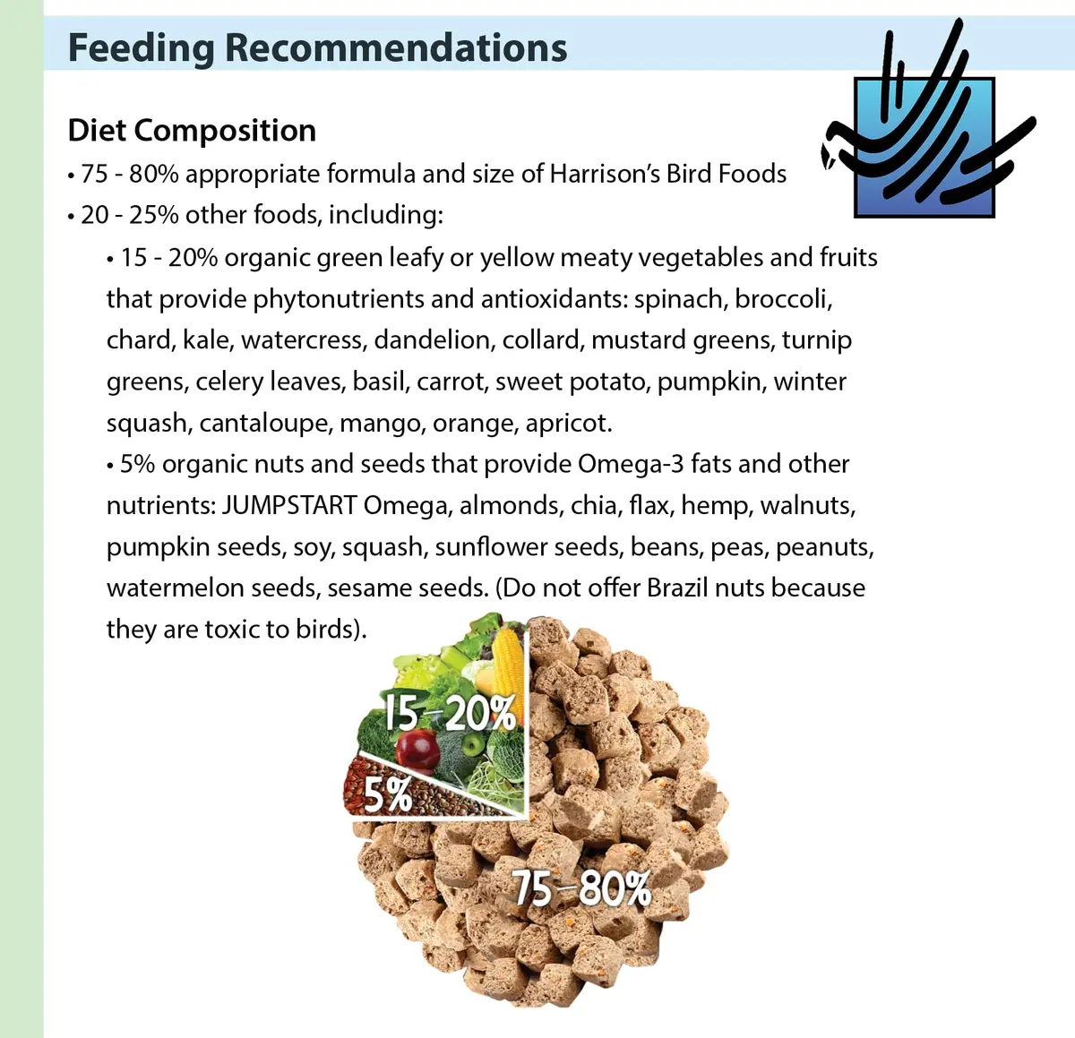 Harrison's Bird Foods Adult Lifetime Coarse 5lb | Certified Organic Non-GMO Bird Food for Medium & Large Parrots - view 7