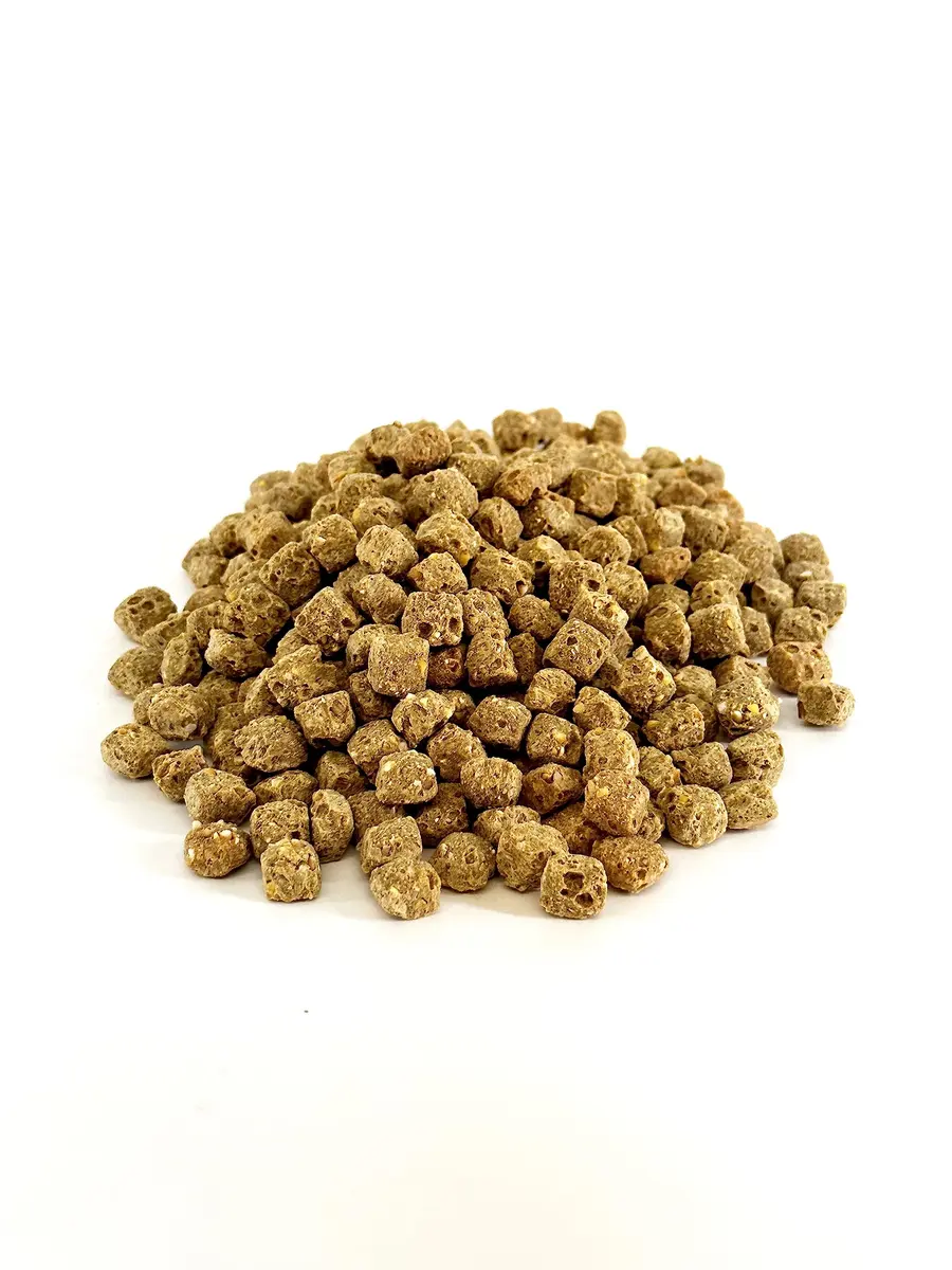 Harrison's Bird Foods Spicy Lifetime Coarse Organic Non-GMO 1lb (454g) | Certified Organic Bird Food for Medium-Large Parrots - view 2