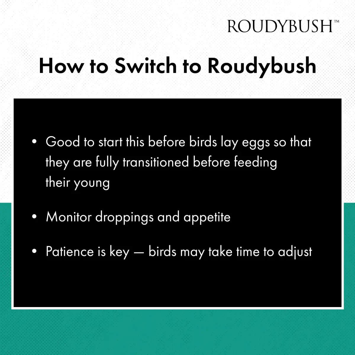 RoudyBush Daily Maintenance Bird Food Small Pellets 4.54 kg (10 lb) | Scientifically Formulated for Pet Birds - view 7
