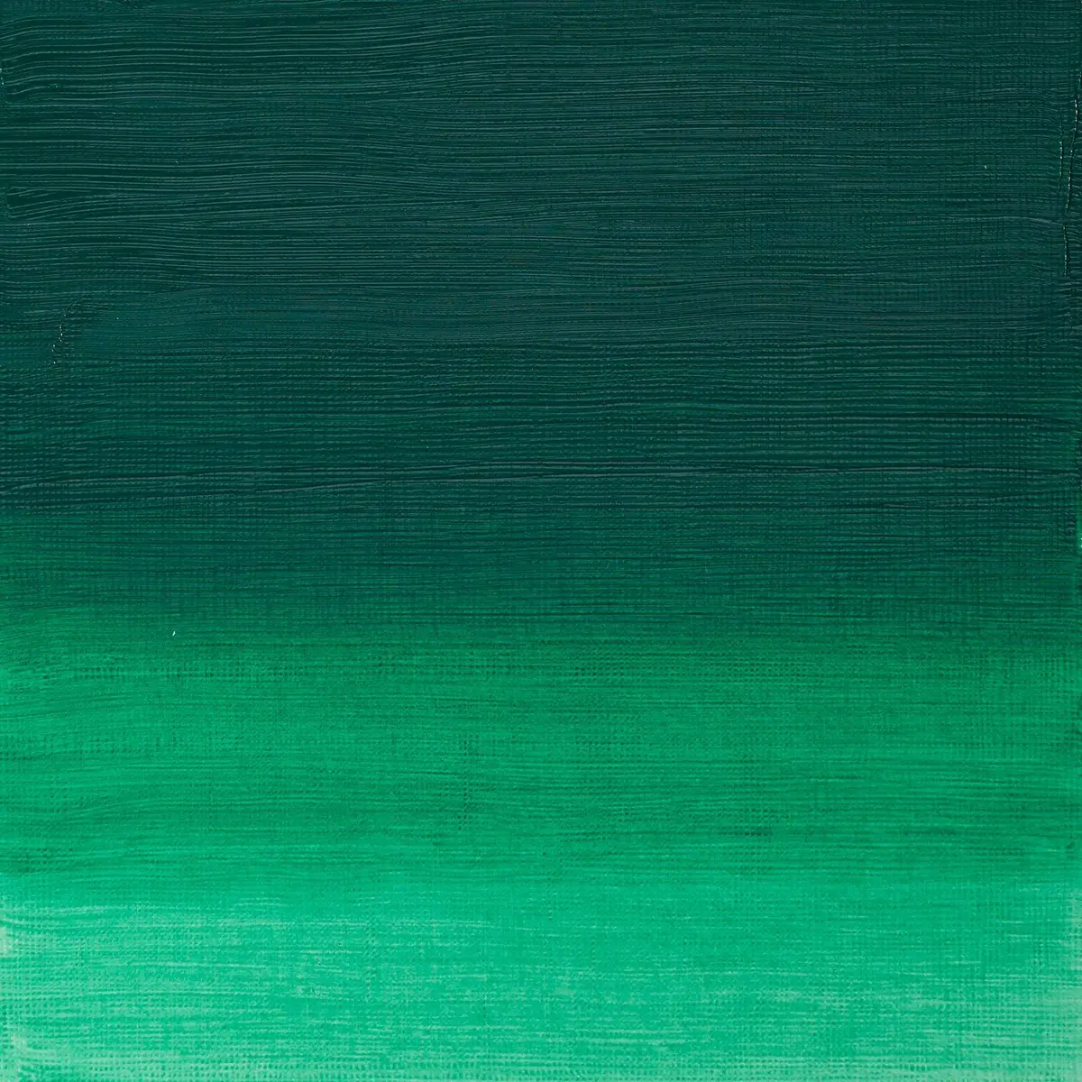 Winsor & Newton Artists' Oil Paint Permanent Green Deep 37ml (1.25 fl oz) | Professional Grade, Single Pigment - view 2