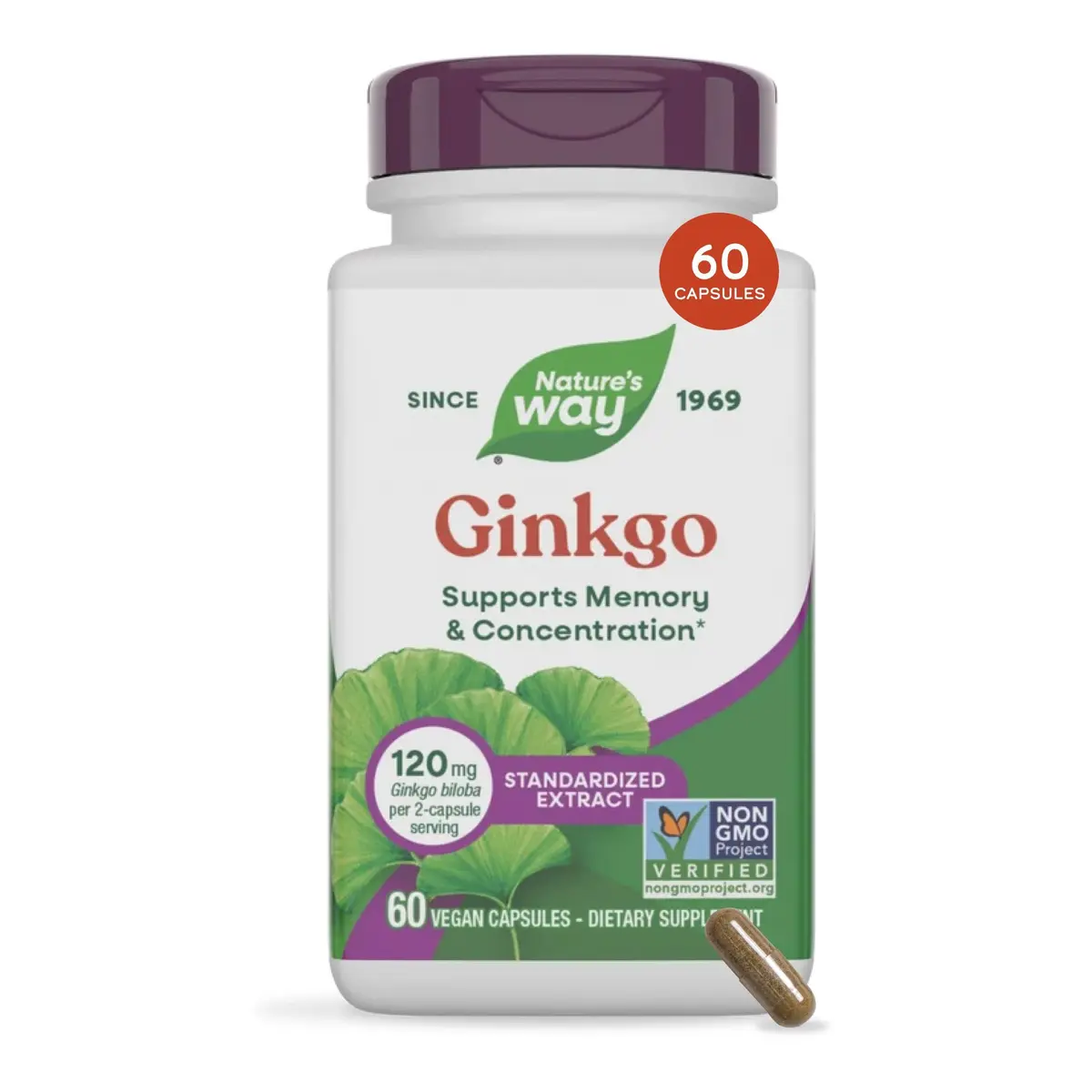 Nature's Way Ginkgo Biloba 60 ct | Supports Memory & Concentration* - main product image