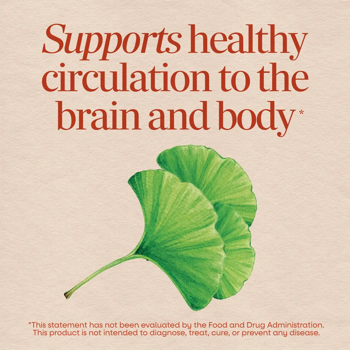 Nature's Way Ginkgo Biloba 60 ct | Supports Memory & Concentration* - view 3