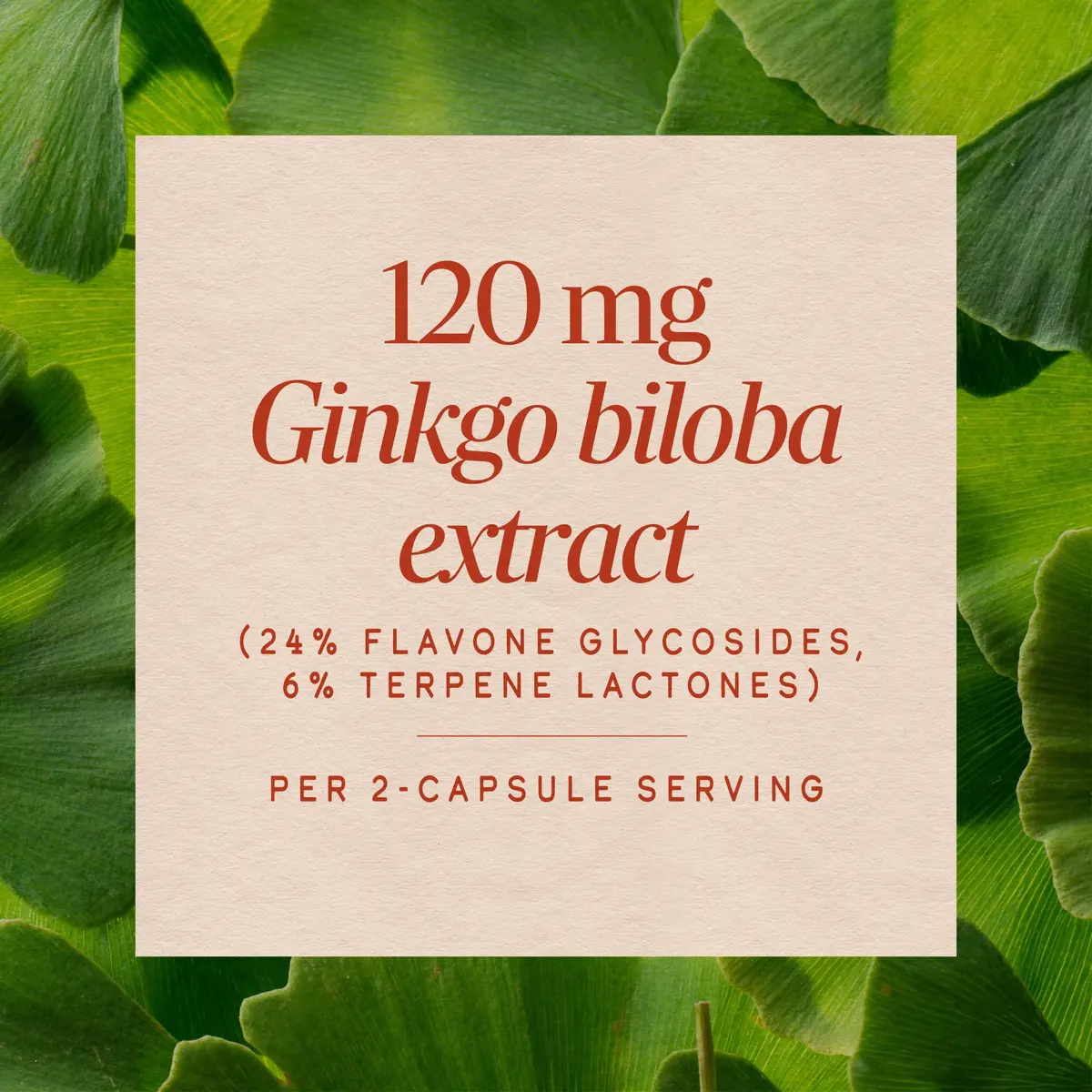 Nature's Way Ginkgo Biloba 60 ct | Supports Memory & Concentration* - view 4
