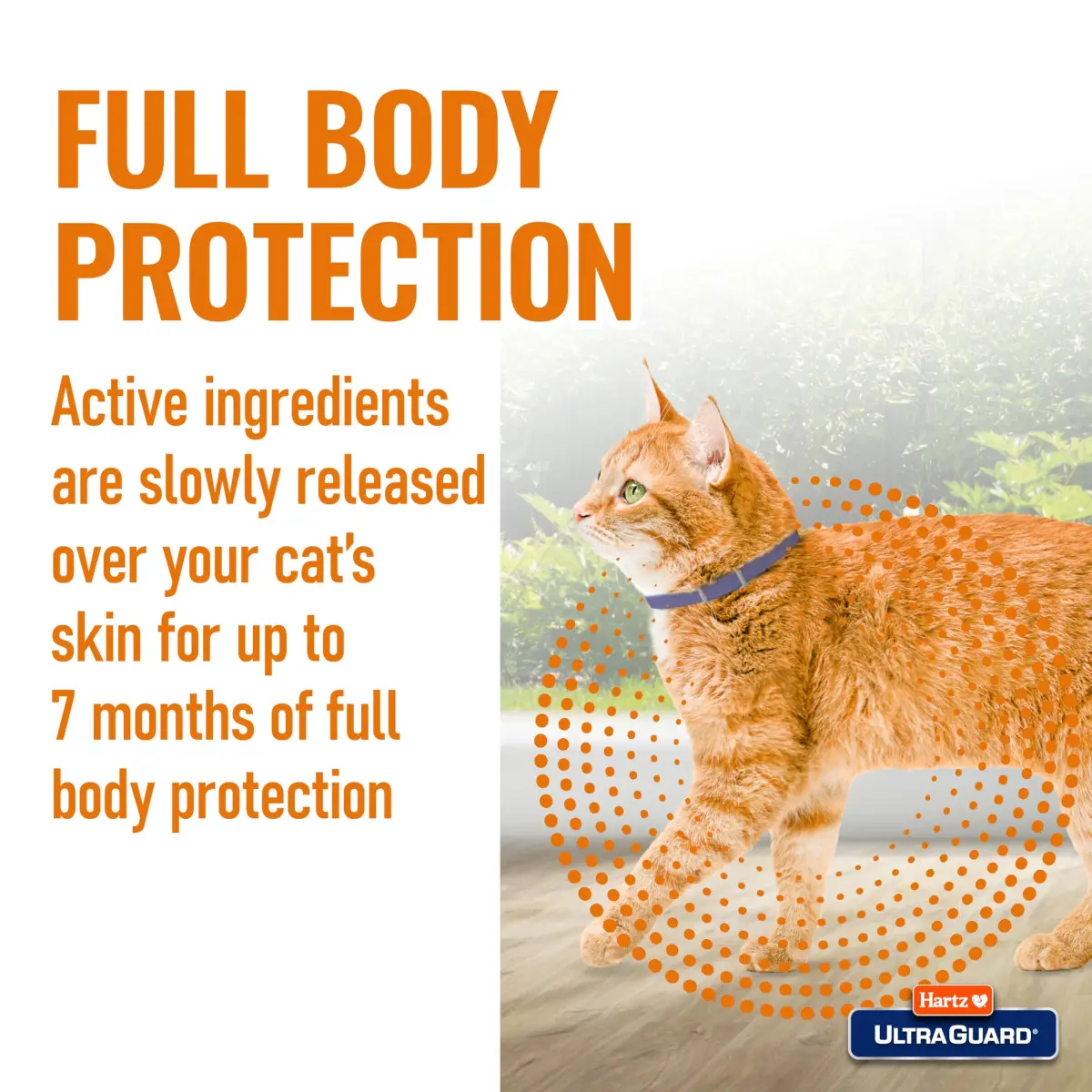 Hartz UltraGuard Flea & Tick Collar for Cats and Kittens, 7 Month Protection, White | Water-Resistant Breakaway Safety Release - view 4