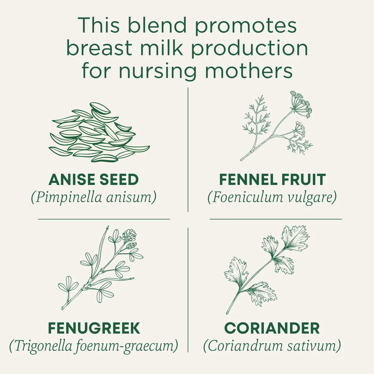 Traditional Medicinals Organic Mother's Milk Tea Bags 96 | Supports Lactation, Organic & Caffeine-Free - view 2