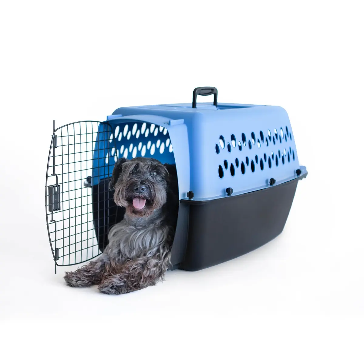 Petmate Pet Porter Dog Kennel 26in | Airline-Approved Travel Carrier for Pets 20-25lbs - view 8