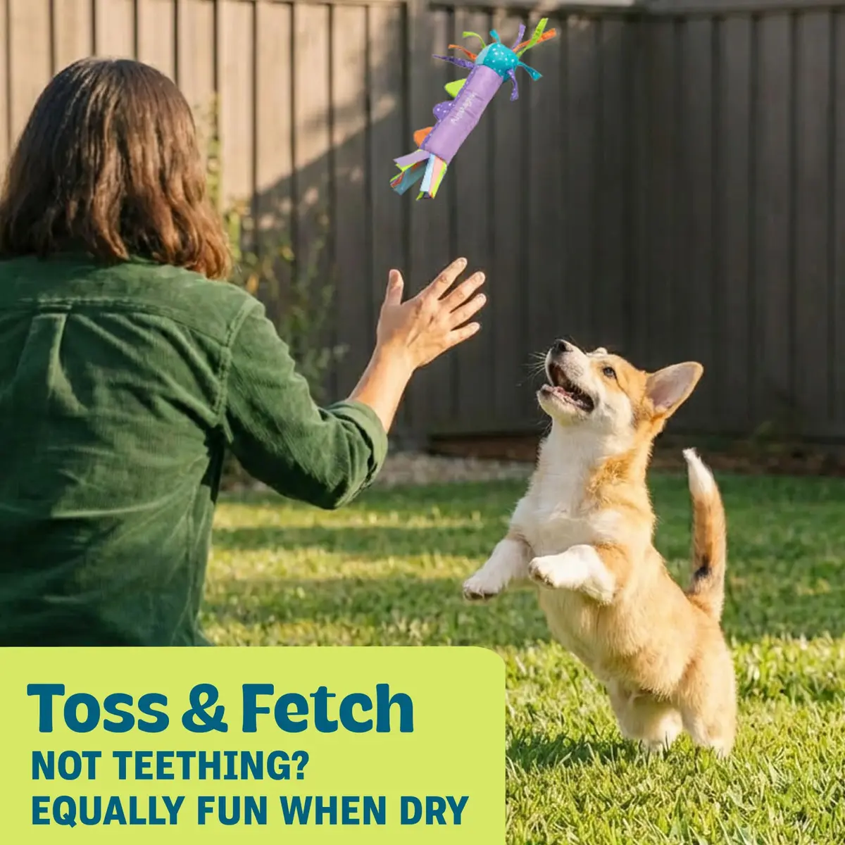Pupstages Cool Teething Stick Dental Dog Chew Toy, Soak & Freeze, 8.5" | Icy Comfort & Chewing Relief for Puppies - view 5