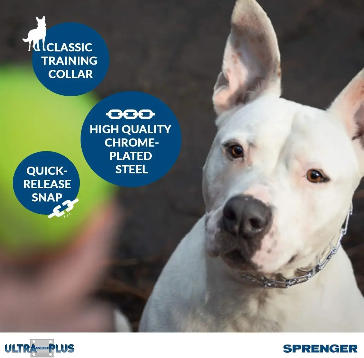 Herm Sprenger Chrome Plated Steel Training Prong Collar with Quick Release Snap for Dogs, 21-22 in (55cm) x 3mm, Neck Size UP to 18 inches - view 2