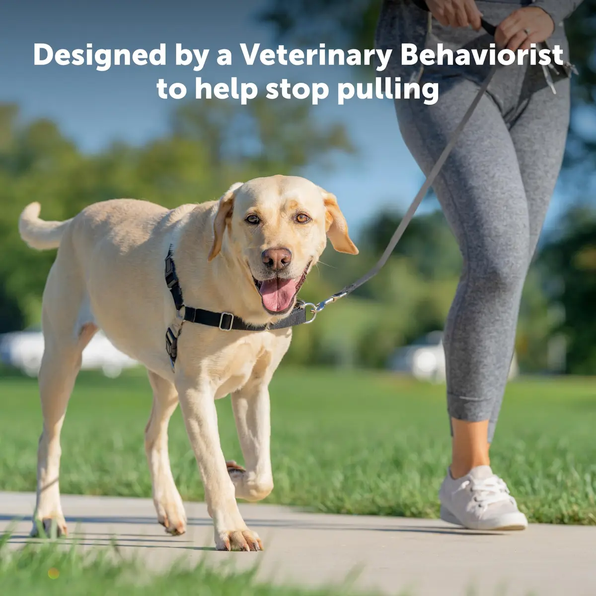 PetSafe Easy Walk Harness, No Pull Dog Harness, Royal Blue, Large | Lightweight, Breathable & Durable - view 5