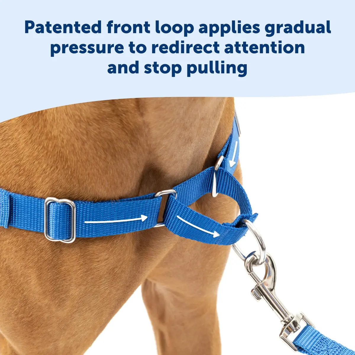 PetSafe Easy Walk Harness, No Pull Dog Harness, Royal Blue, Large | Lightweight, Breathable & Durable - view 6