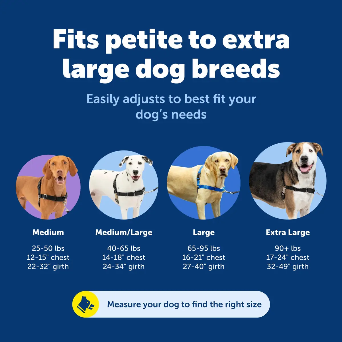 PetSafe Easy Walk Harness, No Pull Dog Harness, Royal Blue, Large | Lightweight, Breathable & Durable - view 3