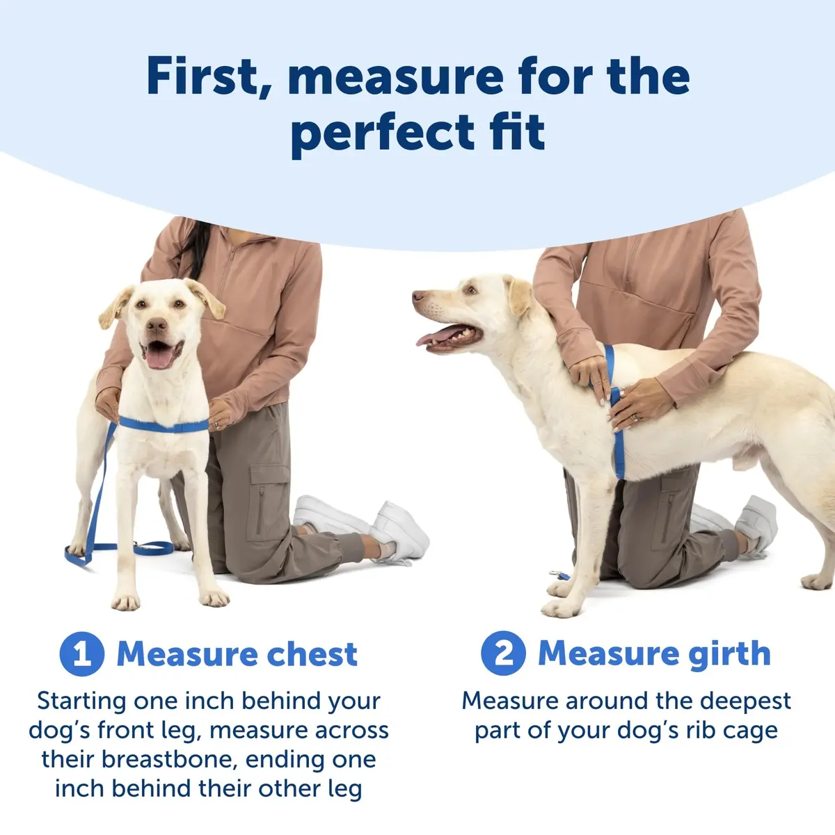 PetSafe Easy Walk Harness, No Pull Dog Harness, Royal Blue, Large | Lightweight, Breathable & Durable - view 4